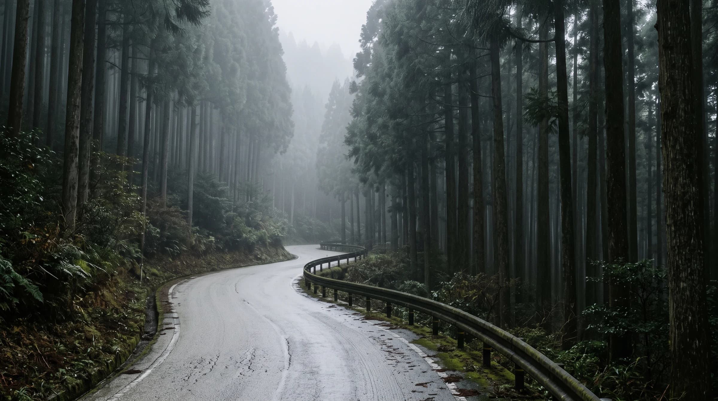 吉和の森を抜ける山道